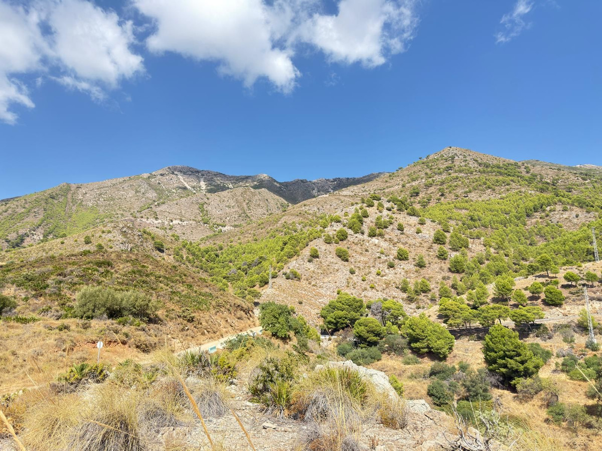 085b04909253f765f5b6b3993fc8606e - 15