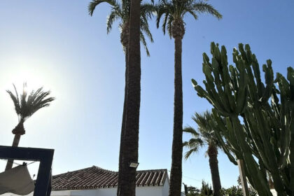 086e586681be3a7c7f33f4e2cf2bc451 - 10