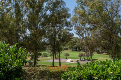 08f46b7ec223d4a97174a222d9ff1a60 - 25