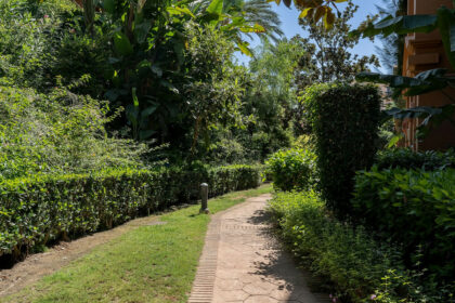 08f46b7ec223d4a97174a222d9ff1a60 - 26