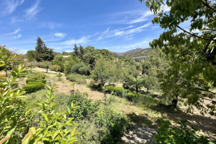 0934df246591ea1facd1e2c07040d478 - 20