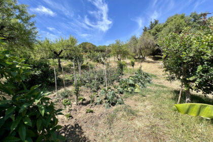 0934df246591ea1facd1e2c07040d478 - 21