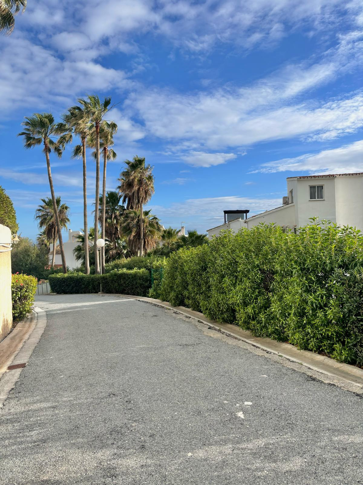 0a8668fdac4e4049e0d30c978676a988 - 24