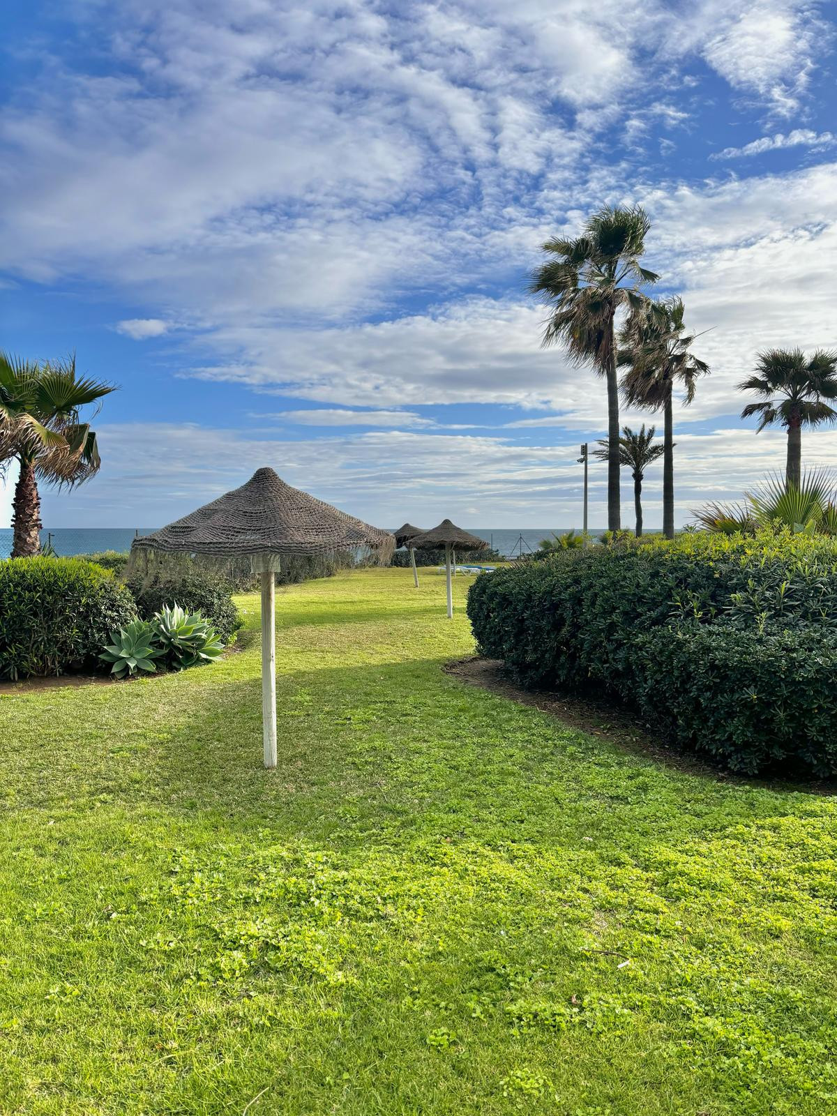 0a8668fdac4e4049e0d30c978676a988 - 26