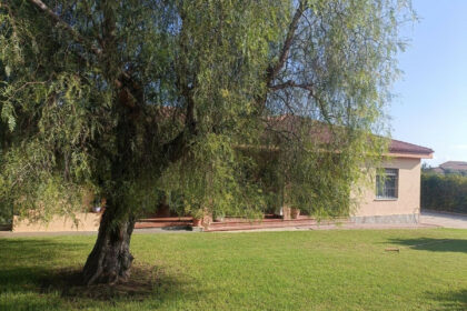 0abed677b483486ff19c486649c30093 - 16