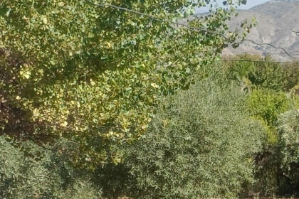 0abed677b483486ff19c486649c30093 - 2