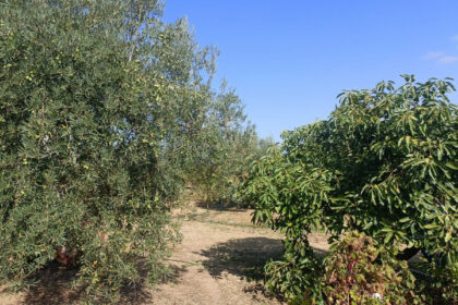 0abed677b483486ff19c486649c30093 - 31