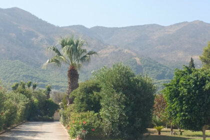 0abed677b483486ff19c486649c30093 - 45