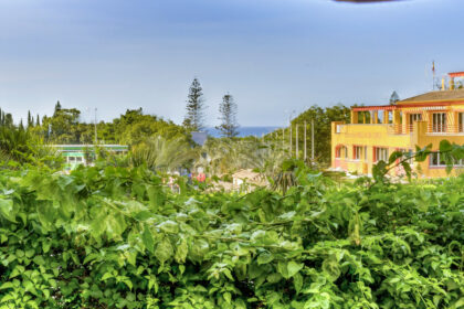 0b557a409ebdc1afe9521d55387fe5da - 17