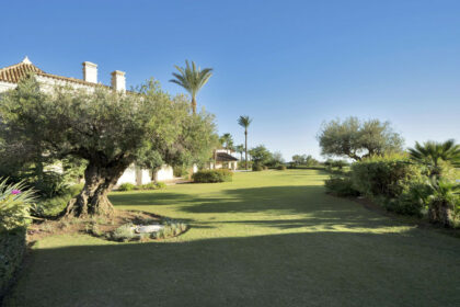 0b64c11e018436db972345200e472bfe - 37