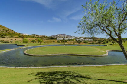 0bfb614f3f43f6dd52fa974c53d1a871 - 24