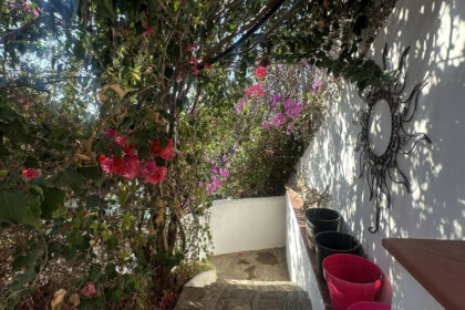 0c0fd95ceb7e4dd48cd951403f985fba - 17