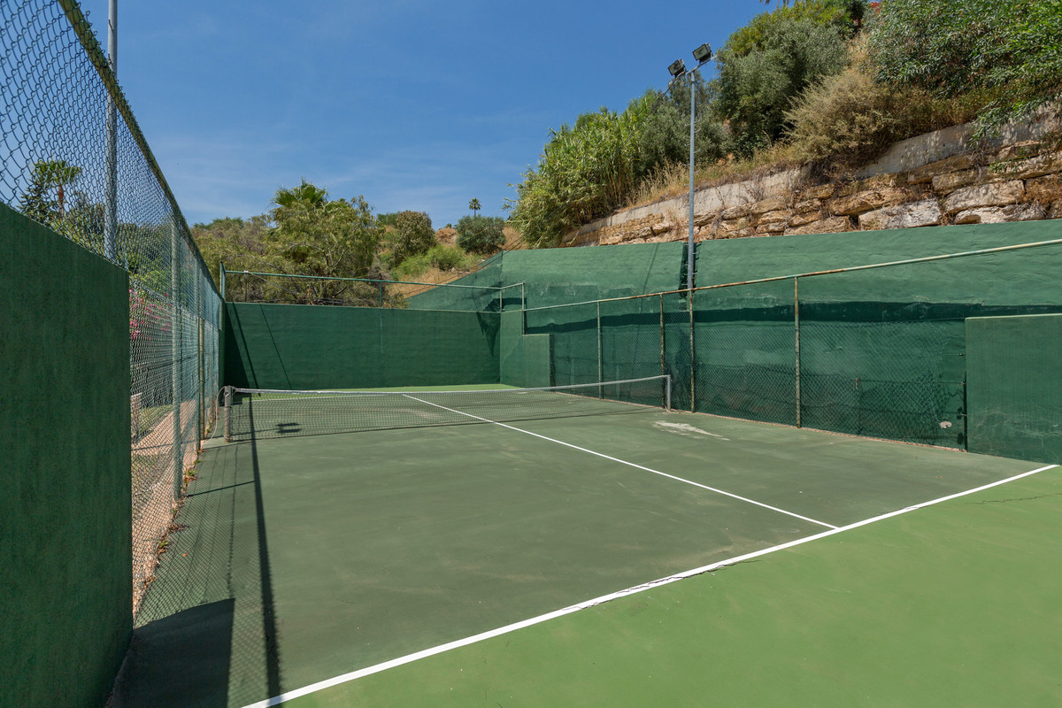 0c95f256ba08643ddd49c1a7ae1cd0a0 - 38