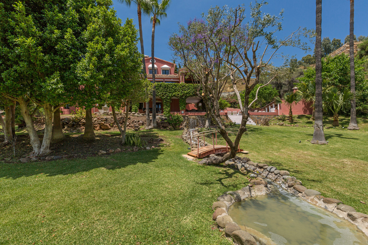 0c95f256ba08643ddd49c1a7ae1cd0a0 - 41