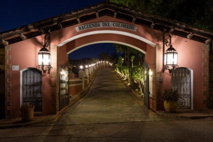 0c95f256ba08643ddd49c1a7ae1cd0a0 - 48