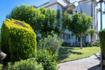 0c9ba34e08abd68c4cfc2950c1e11d96 - 27