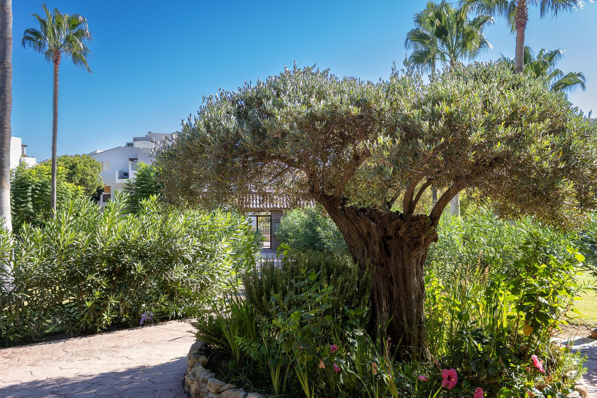 0c9ba34e08abd68c4cfc2950c1e11d96 - 32