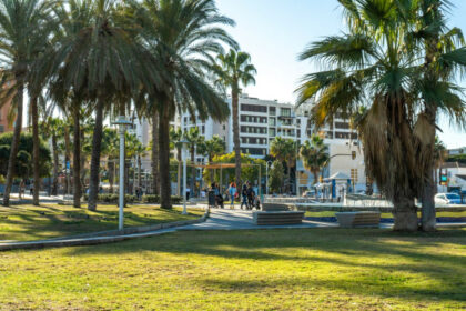 0cea51ec49221d17a9d9fcd66fb67b9d - 22