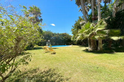 0e369bb3dc9236bf82a603e44a22c4cc - 22