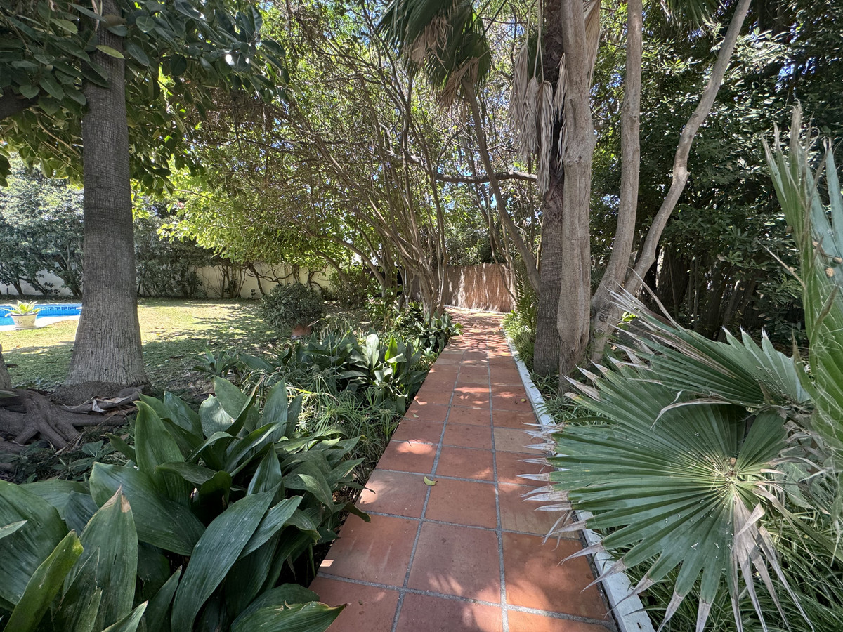 0e369bb3dc9236bf82a603e44a22c4cc - 26