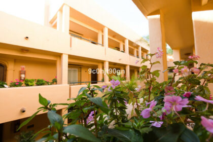 0f0009575671f533381bbc9e19f19e22 - 15