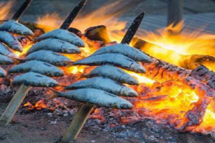 10dff7af192d9c665305736853a6f542 - 31