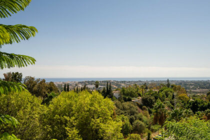 114e4d27e3d1b326ffc277a344f0a963 - 25