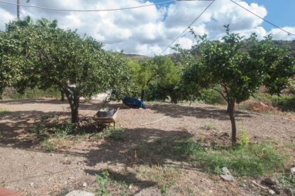 11fdae588c259c25a7d5867881e3af7f - 19