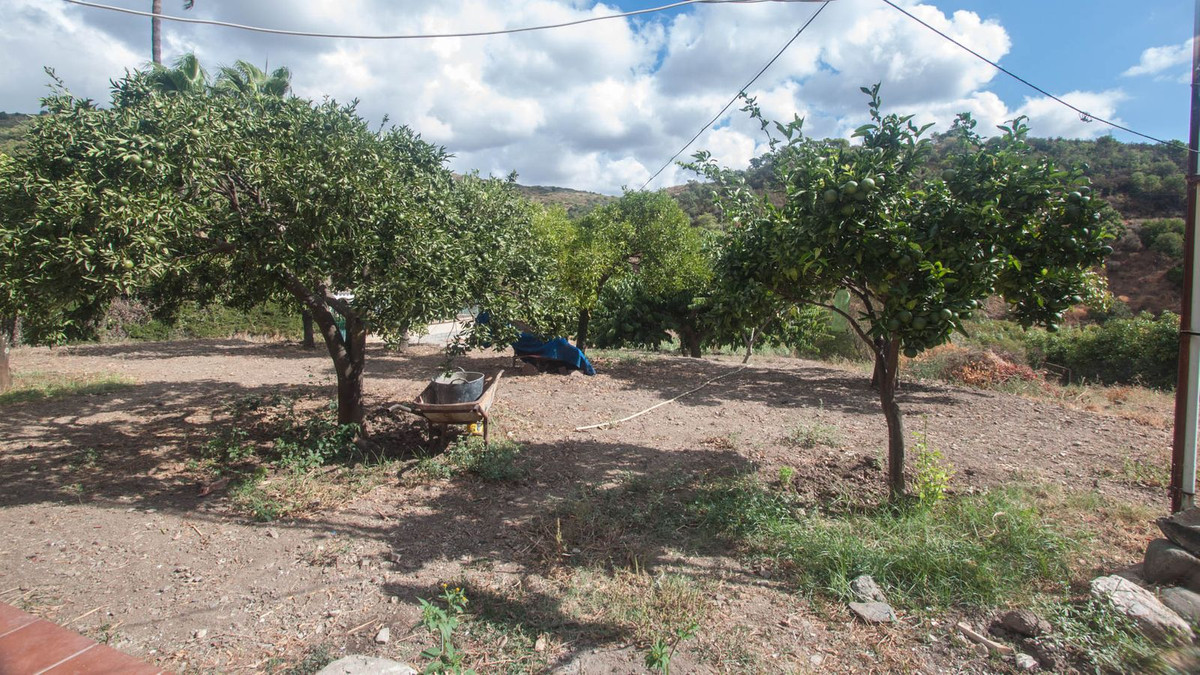 11fdae588c259c25a7d5867881e3af7f - 19