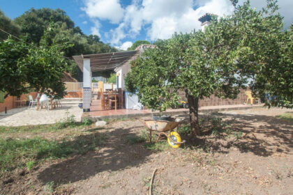 11fdae588c259c25a7d5867881e3af7f - 20