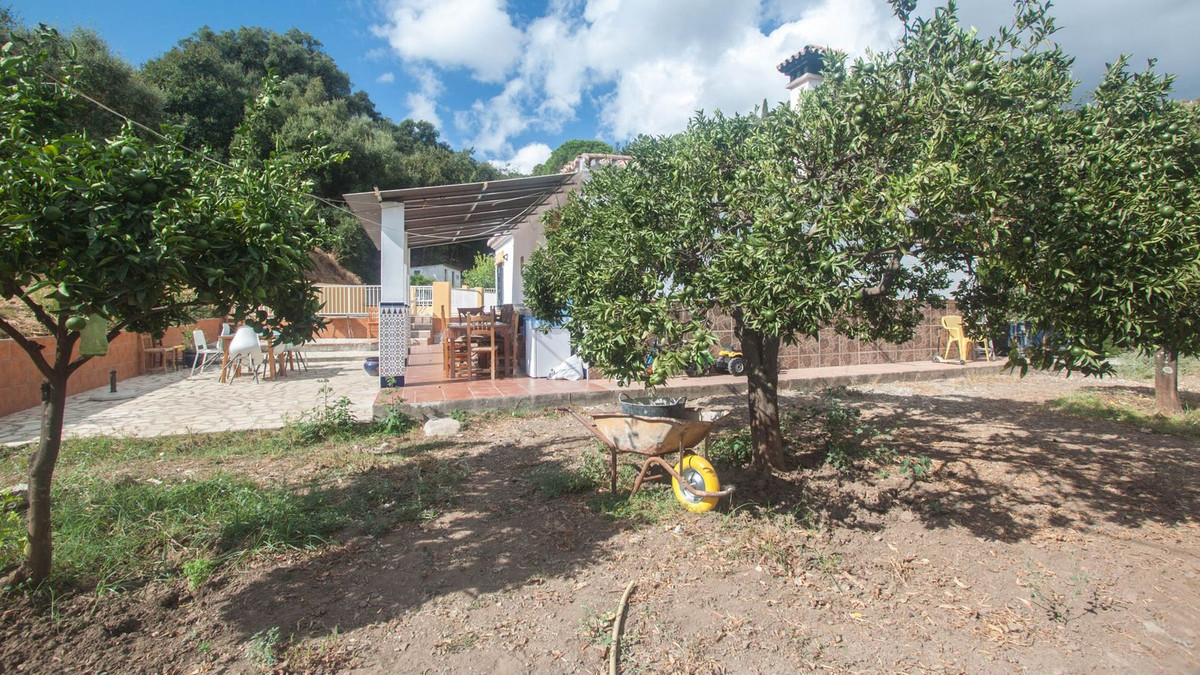 11fdae588c259c25a7d5867881e3af7f - 20