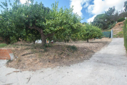 11fdae588c259c25a7d5867881e3af7f - 23