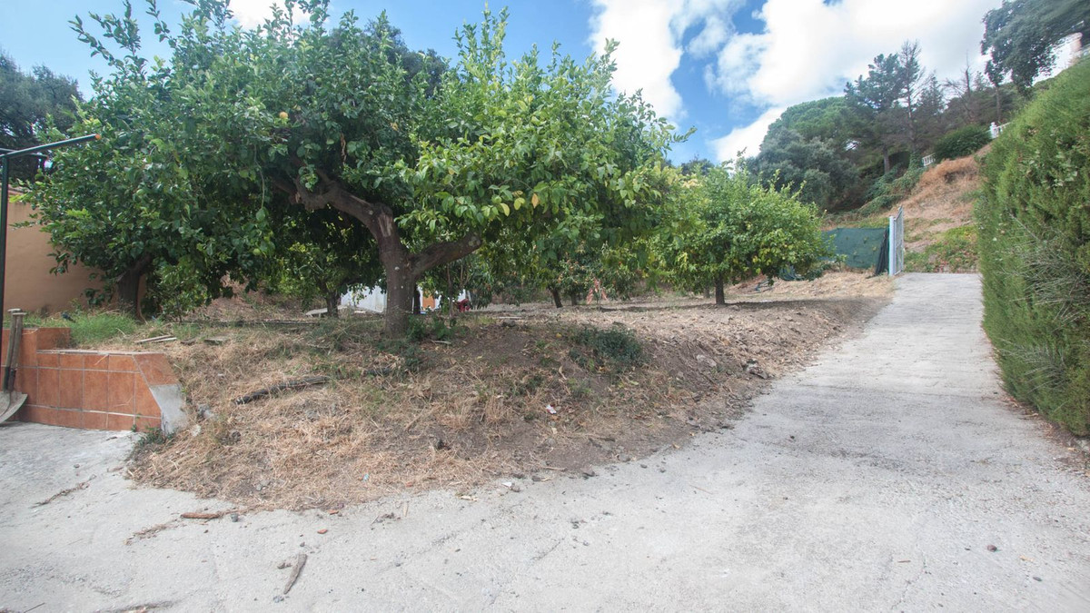 11fdae588c259c25a7d5867881e3af7f - 23