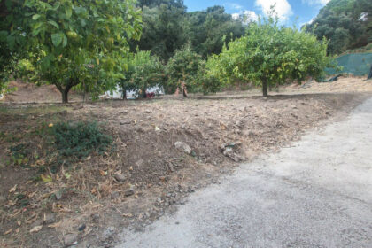 11fdae588c259c25a7d5867881e3af7f - 24