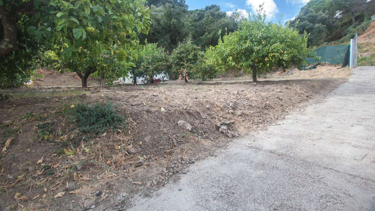 11fdae588c259c25a7d5867881e3af7f - 24