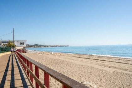 13a15f8944debc2afe7b854709d5366c - 21