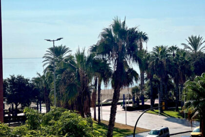 145846108c2610fa9d5b3259a146aa4d - 21