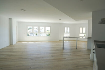 1480b744b3166f5fa5ddfd4bc275e483 - 4