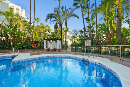 155c02cf5371e7bf17d8c430a91a1831 - 20