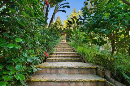 155c02cf5371e7bf17d8c430a91a1831 - 21