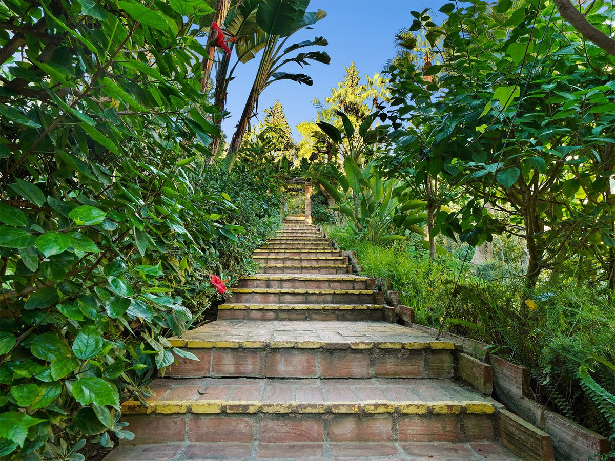 155c02cf5371e7bf17d8c430a91a1831 - 21