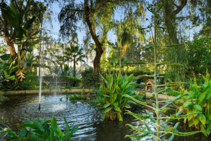 155c02cf5371e7bf17d8c430a91a1831 - 22