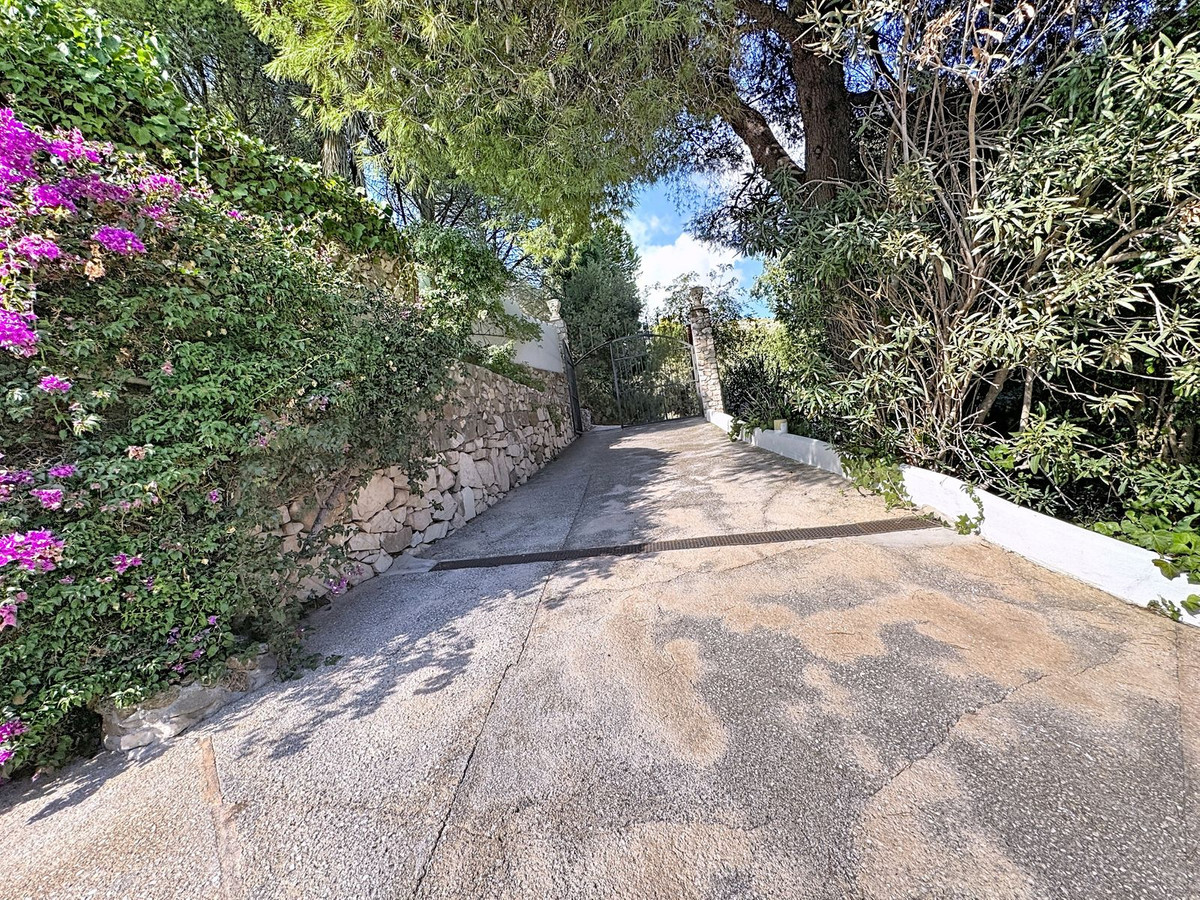 1630d9ae0ca9e089b0988ccb4a4dde00 - 2