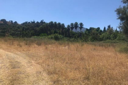 1631f42f0e9953fdf03f63fcbfbcf490 - 1