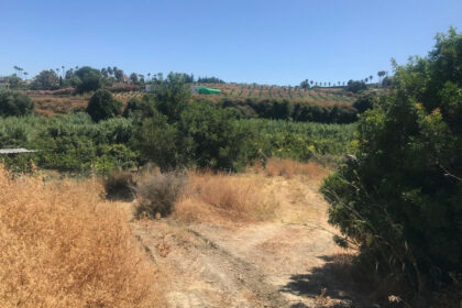 1631f42f0e9953fdf03f63fcbfbcf490 - 2