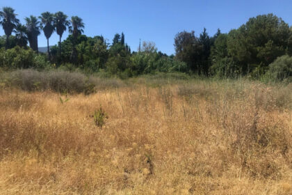 1631f42f0e9953fdf03f63fcbfbcf490 - 3