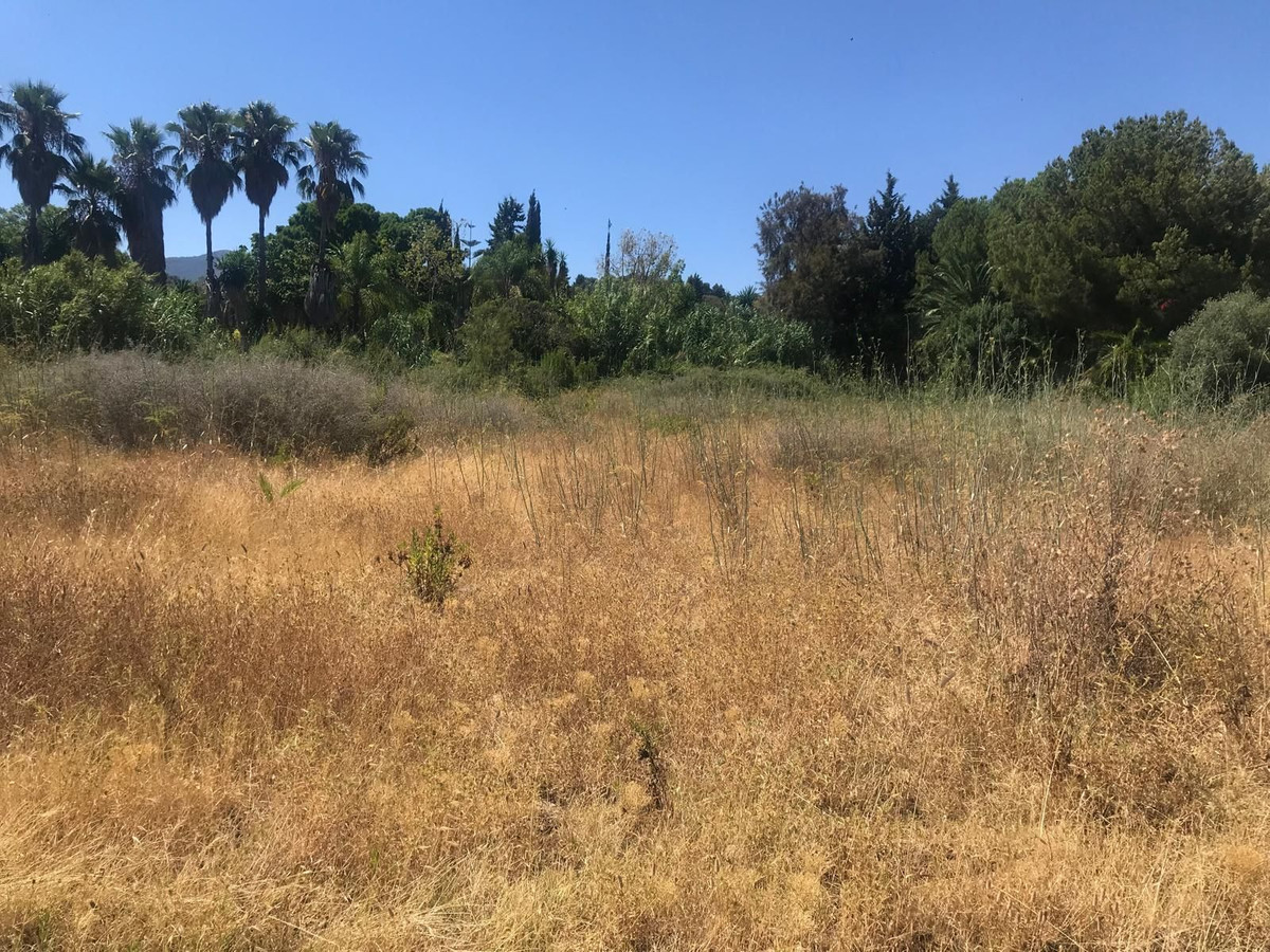 1631f42f0e9953fdf03f63fcbfbcf490 - 3