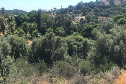 1631f42f0e9953fdf03f63fcbfbcf490 - 6