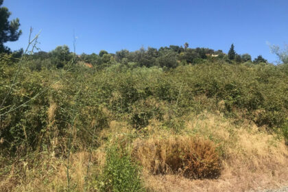 1631f42f0e9953fdf03f63fcbfbcf490 - 7