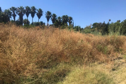 1631f42f0e9953fdf03f63fcbfbcf490 - 8